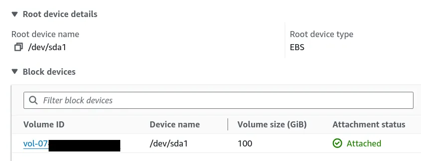 Storage detail on a small instance